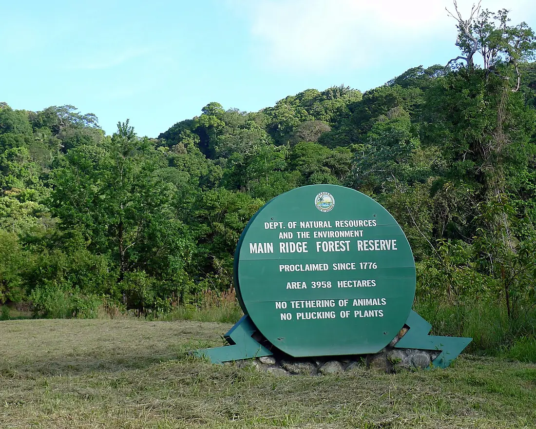 Tobago - August 2013 (1530)
