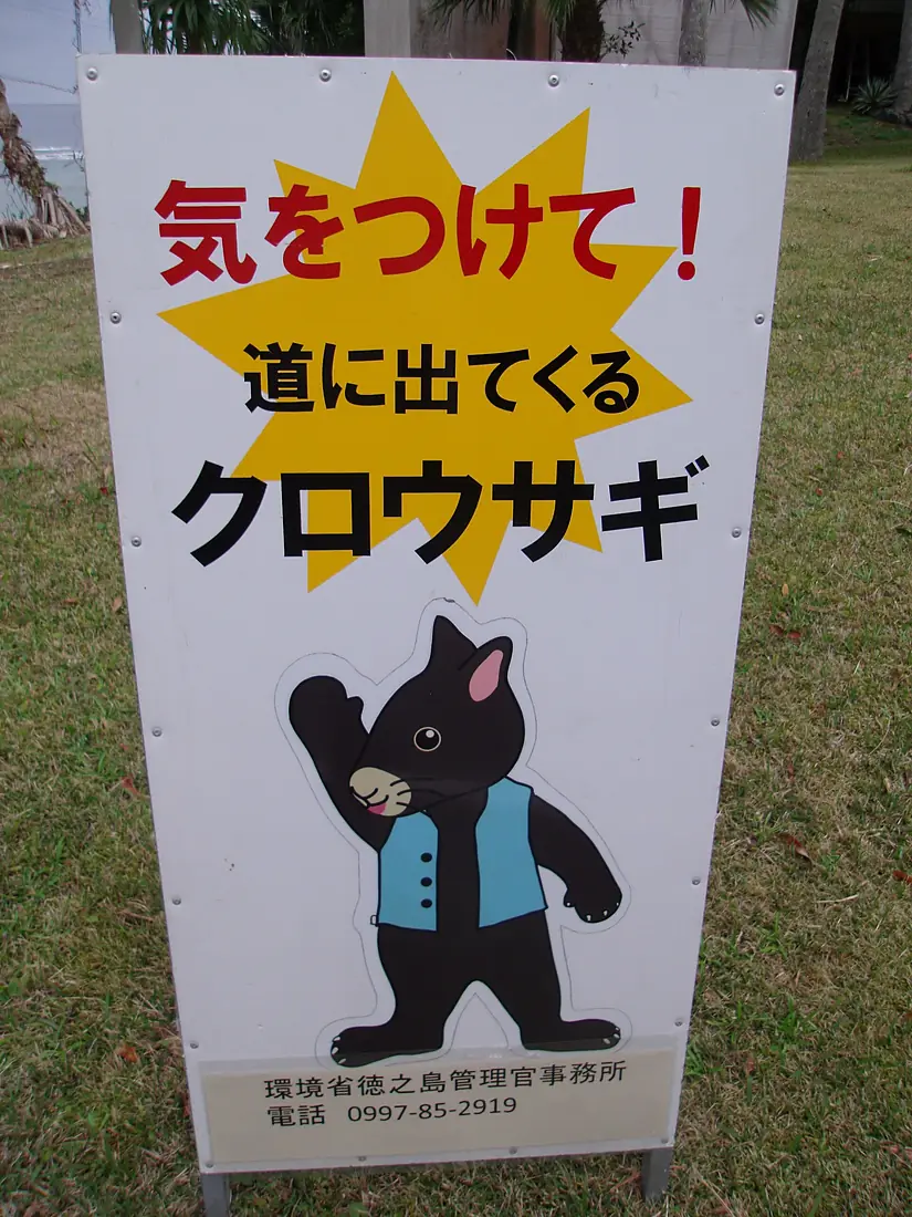 Warning sign for Amami-kurousagi (Black hare) in Tokunoshima 02