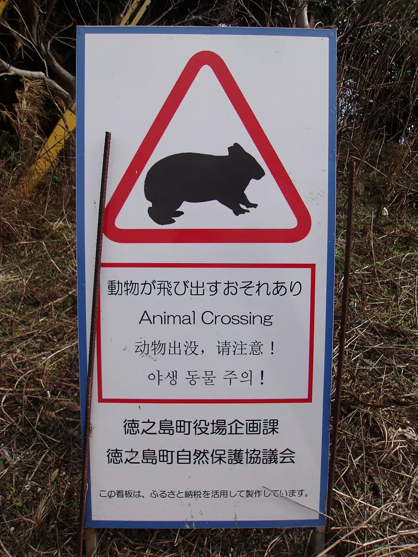 Warning sign for Amami-kurousagi (Black hare) in Tokunoshima 01