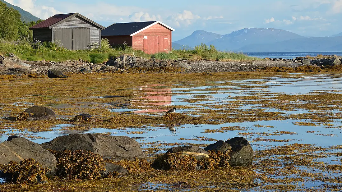 Tromsøya - Romssasuolu Shore - Tromsø, Norway 2023-07-07 (02)