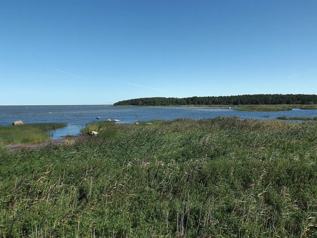 Lahesopp Vormsi põhjarannikul 2025
