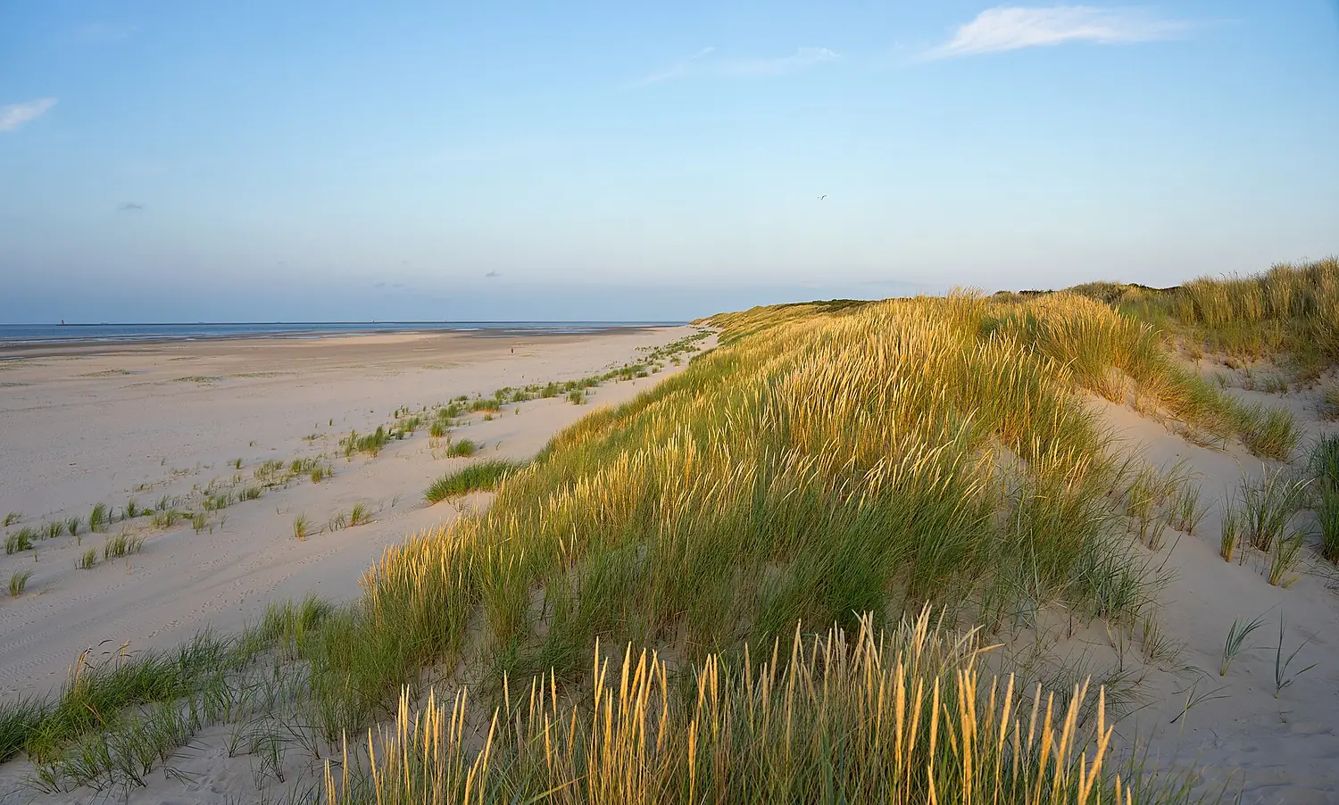 Strand und Dünen im Nordosten von Wangerooge 2