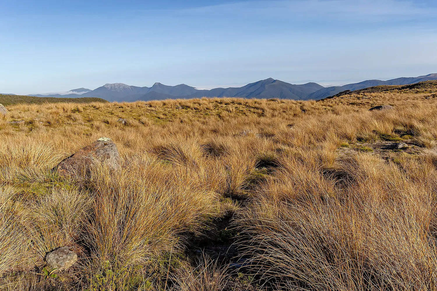 View East from Lake Sylvester, Kahurangi National Park, New Zealand