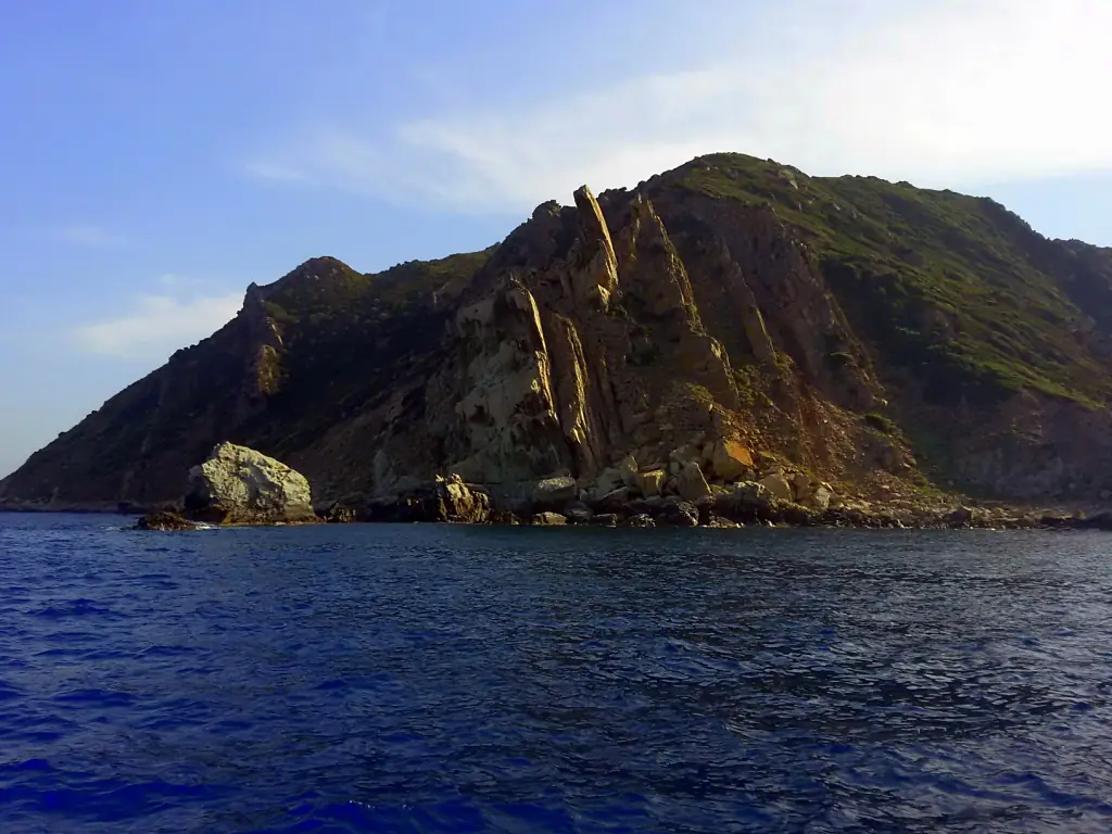 Parc national des îles de Zembra et Zembretta 128